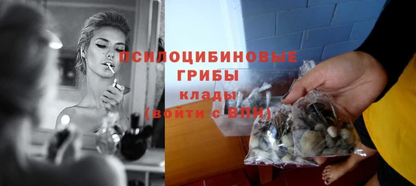 дмт Богородицк