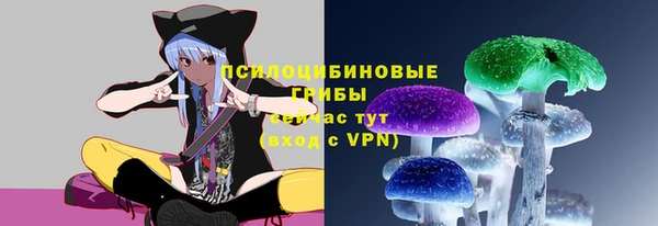 таблы Богданович