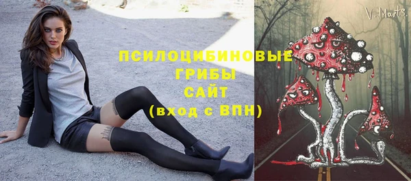 дмт Богородицк