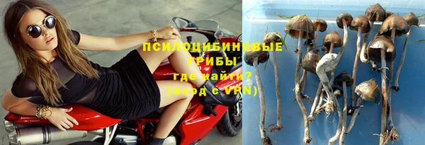 дмт Богородицк